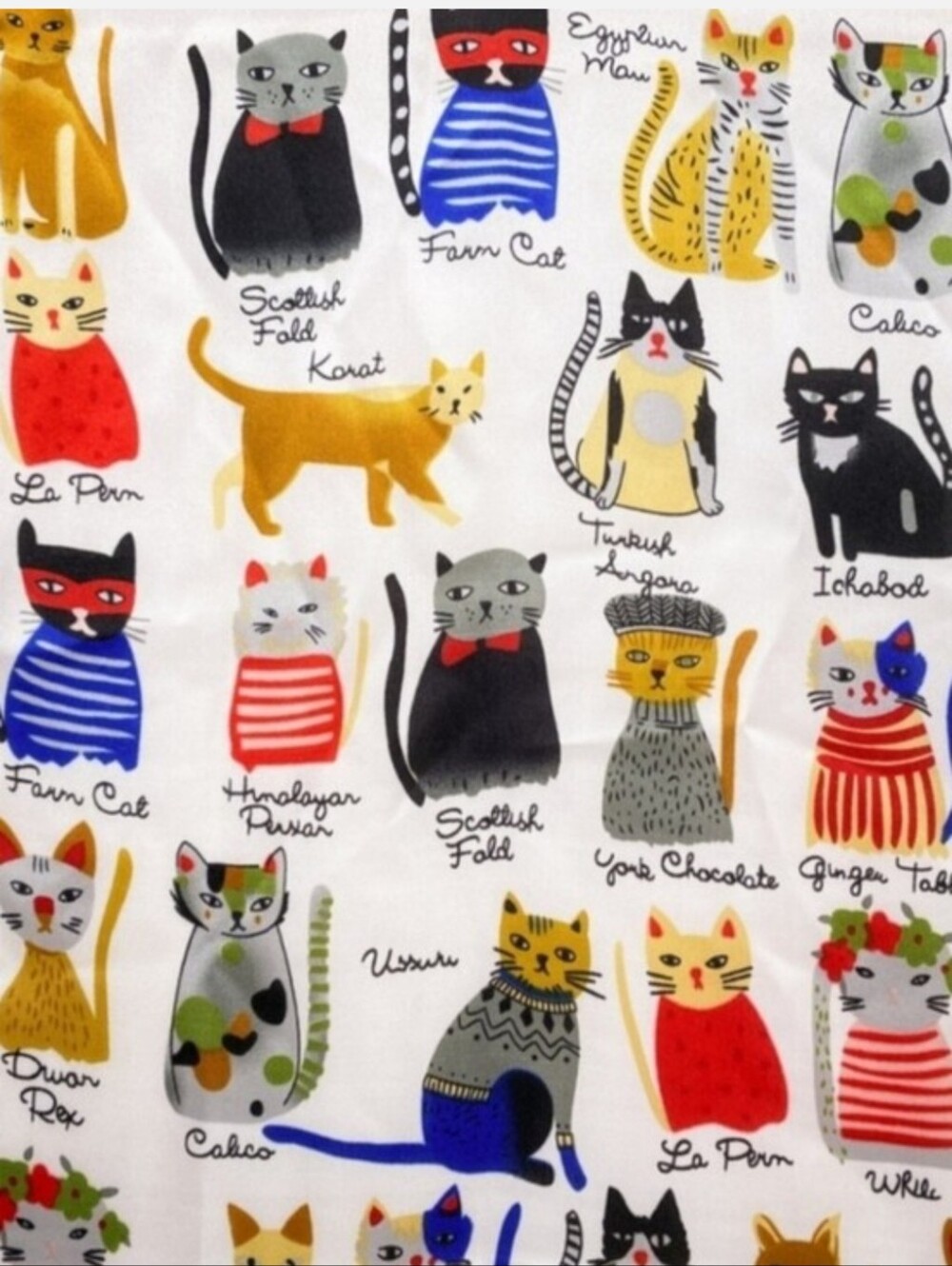Cat Print Silk-Feel Scarf with Mustard Border - Picture 2 of 4